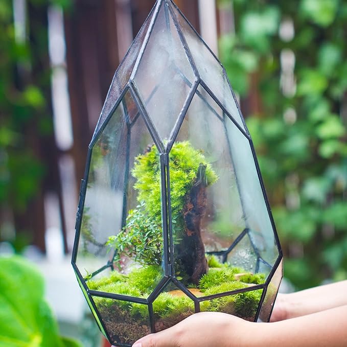 NCYP Modern Black Glass Geometric Terrarium Container with Door - Balcony Planter DIY Display Flower Pot for Succulent Fern - Tabletop Miniature Botanical Fairy Garden (No Plants)