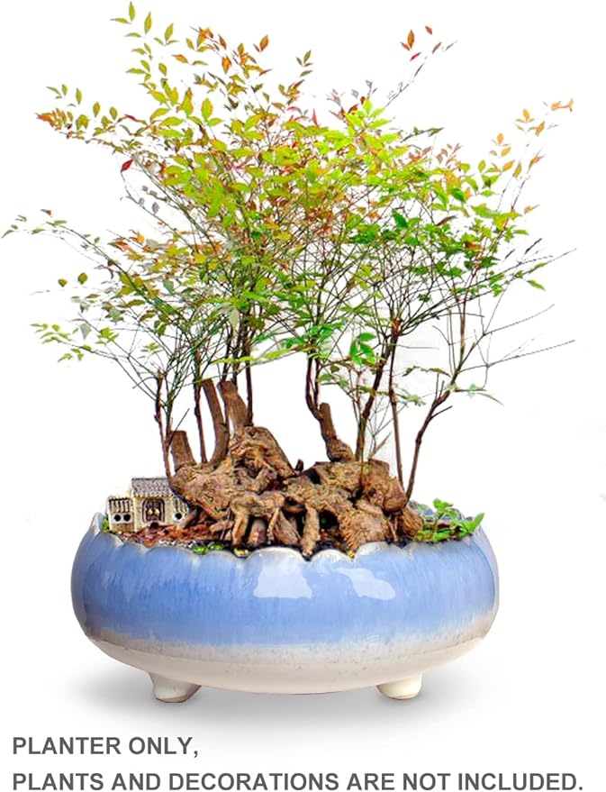 Dahlia 8.3'' Inch Large/Shallow/Wide Drip Glazed Ceramic Planter/Succulent Pot/Plant Pot, Blue