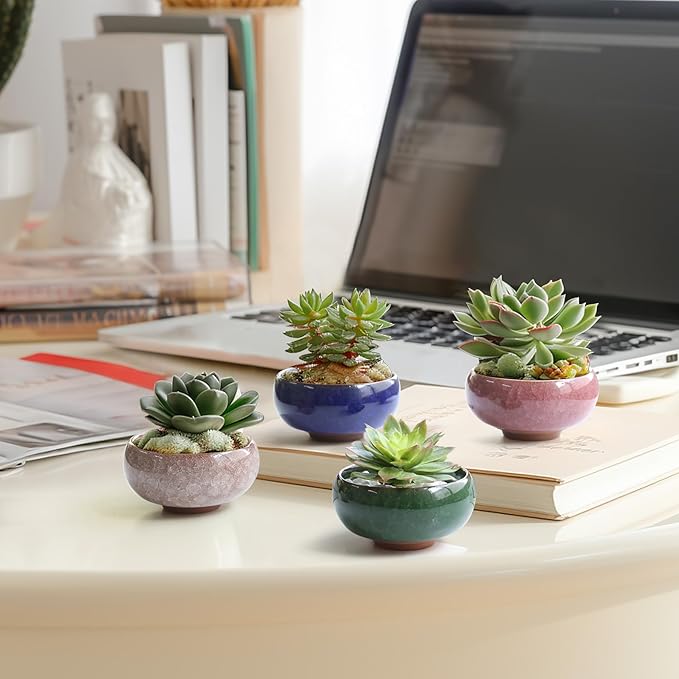 T4U 2.5 Inch Small Ceramic Succulent Planter Pot with Drainage Hole Set of 12, Ice Crack Glaze Plant Container for Cactus, Plant Lover Gifts for Women Mom Aunt Home Office Decor