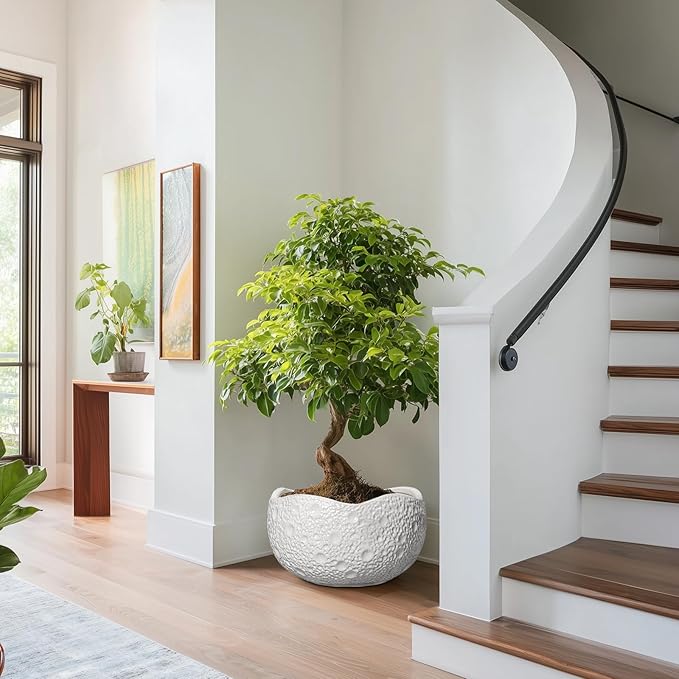 Large Bonsai Pots - 13 Inch Ceramic Planter for Indoor Outdoor, Round Plant Pot, Decorative Flower Pots with Drainage Hole, Modern Unique Planters, Garden Decor Home, Garden Gifts, White