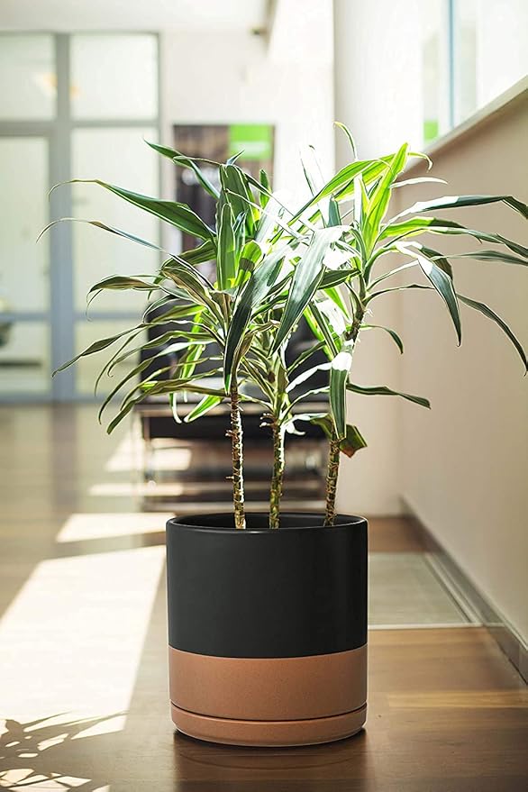D'vine Dev 8 Inch & 10 Inch Ceramic Planter Pot for Plants with Drainage Hole and Saucer, Large Plant Pots Set, Black/Speckled Tan, 94-G-L-7