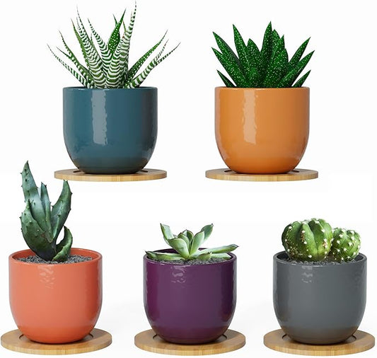 Mini Succulent Plant Pots – 2.5" Ceramic Planters with Bamboo Coasters, Set of 5 | Small Indoor Pot Set, Sunrise Color Theme, Drainage Hole, Decorative Gift Box