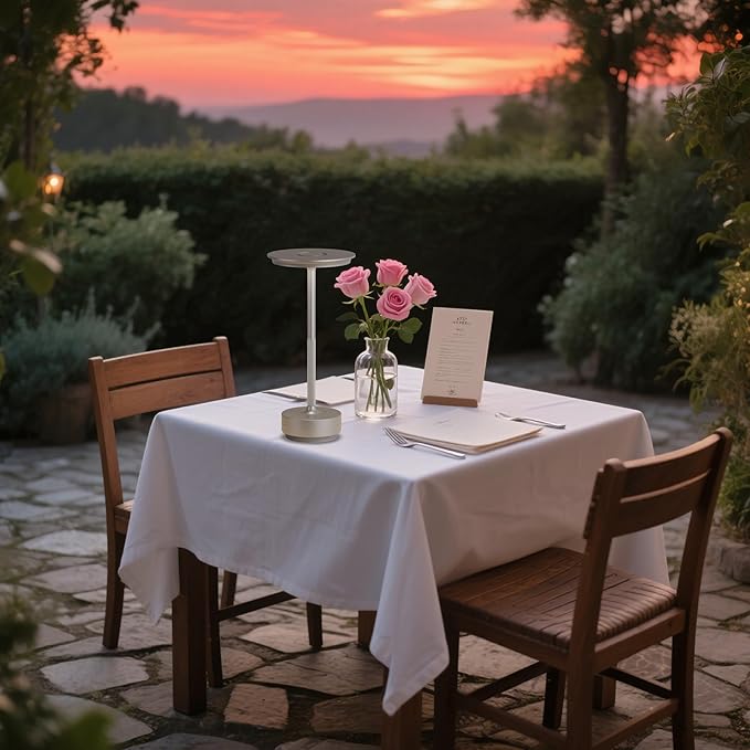 Rechargeable Cordless Table Lamps, 5000mAh Portable LED Table Light, 3 Color Stepless Dimming Battery Powered Metal Table Lamp for Outdoor Patio/Bedroom/Restaurant.(Silver)