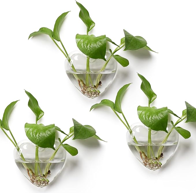 Wall Hanging Planter Propagation Station for Indoor Plants Glass Vase Air Plant Holder for Bathroom Living Room