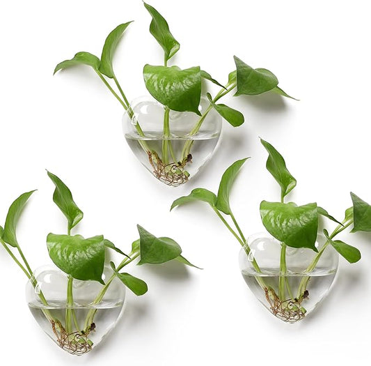 Wall Hanging Planter Propagation Station for Indoor Plants Glass Vase Air Plant Holder for Bathroom Living Room