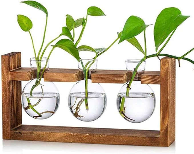 Kingbuy Glass Plant Terrarium - 3 Bulbs Propagation Station with Retro Wood Stand Indoor Garden Planter, Bulb Vase & Desktop Decor for Home Kitchen Wedding, Gift for Women & Plant Lover