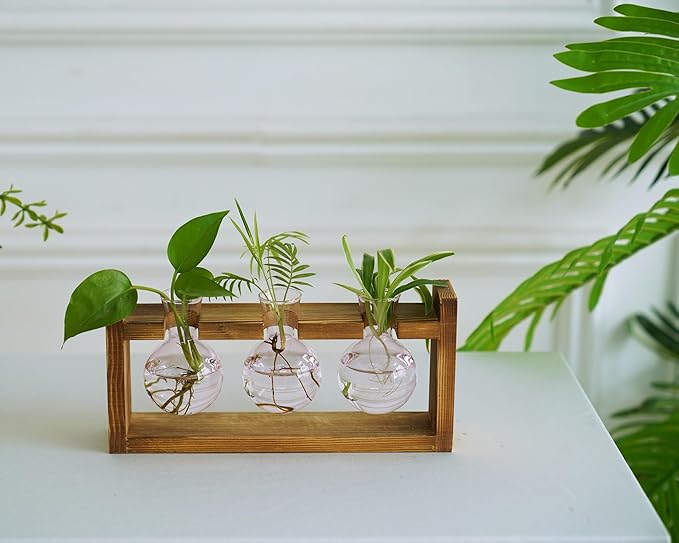 Kingbuy Glass Plant Terrarium Propagation Station - 3 Bulb Colored Vases with Retro Wood Stand Indoor Garden Planter - Wall Mounted & Desktop Decor for Home Kitchen Wedding, Gift for Plant Lover, Pink