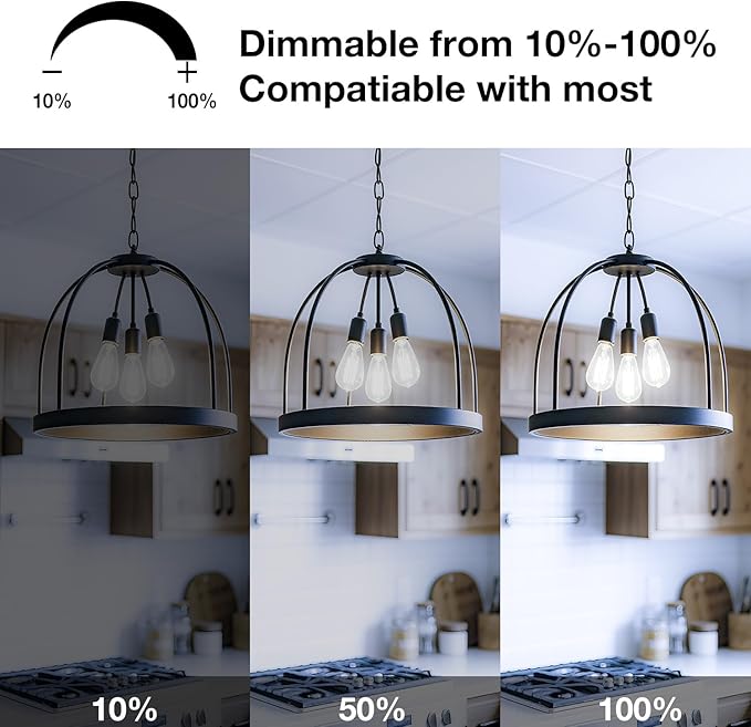 DAYBETTER Vintage LED Edison Bulbs, E26 Led Bulb 60W Equivalent, Dimmable Led Light Bulbs, High Brightness 6W 800 LM Daylight White 5000K, ST58 Antique LED Filament Bulbs, Clear Glass, 6 Pack