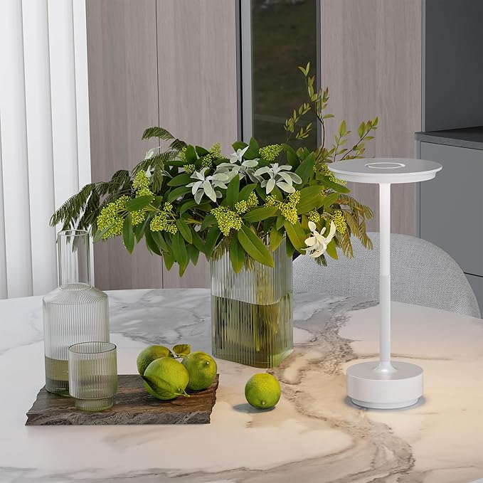 2 Pack Rechargeable Cordless Table Lamps, Portable 5000mAh Outdoor Table Light, 3 Color Stepless Dimming LED Table Lamp with Memory Function, for Home/Dinner/Patio/Restaurant.(White)