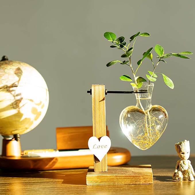Kingbuy Hydroponic Glass Vase Vintage Desktop Plant Terrarium Planter Bulb Vase Water Planting Propagation Vase Planters Hydroponics Plants with Retro Wooden Stand Home Garden. (D(1 Heart Vase))