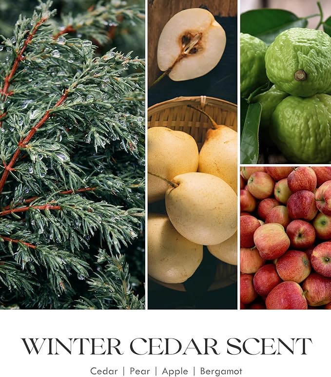 AOOVOO Cedar Scented Candles for Women - Aromatherapy Candle with Crystals Inside, 10oz Soy Candles for Home Scented, Birthday Gifts Candle for Women Mom