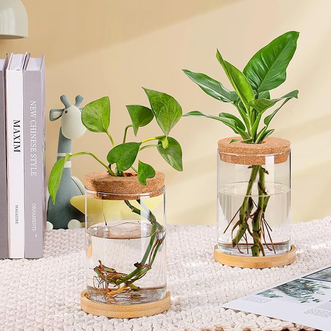 Biggun Plants Propagation Station - 2Pcs Desktop Plant Terrarium Glass Hydroponic Vases, Water Plant Jars, Gardening Gifts for Women Mom Plant Lovers (Thick Straight Shape, Separated Tray Style)