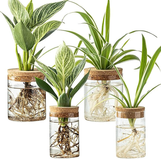 Glass Plant Propagation Stations for Plants – Set of 4(2 Large & 2 Small) Hydroponic Vases for Plant Cuttings,Flower Arrangements, Home & Office Decor–Desktop Vases for Living Room, Bedroom (4)