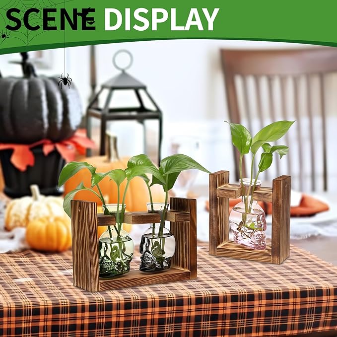 2+1 Plant Terrarium Plant Propagation Station Gifts for Father Halloween Skull Home Office Decor with Wooden Stand