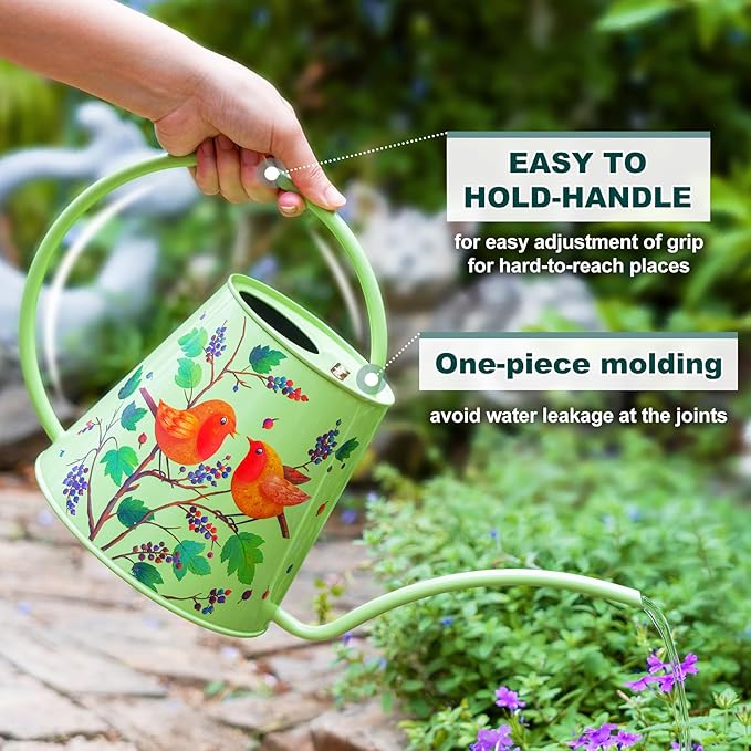 Berry&Bird House Plants Watering Can - Indoor & Outdoor 1/2 Gallon Stainless Steel Water Can with Long Spout Garden Decoration for Flower Bonsai Succulent Gardening Large Watwer Bottle(2L/Robin)