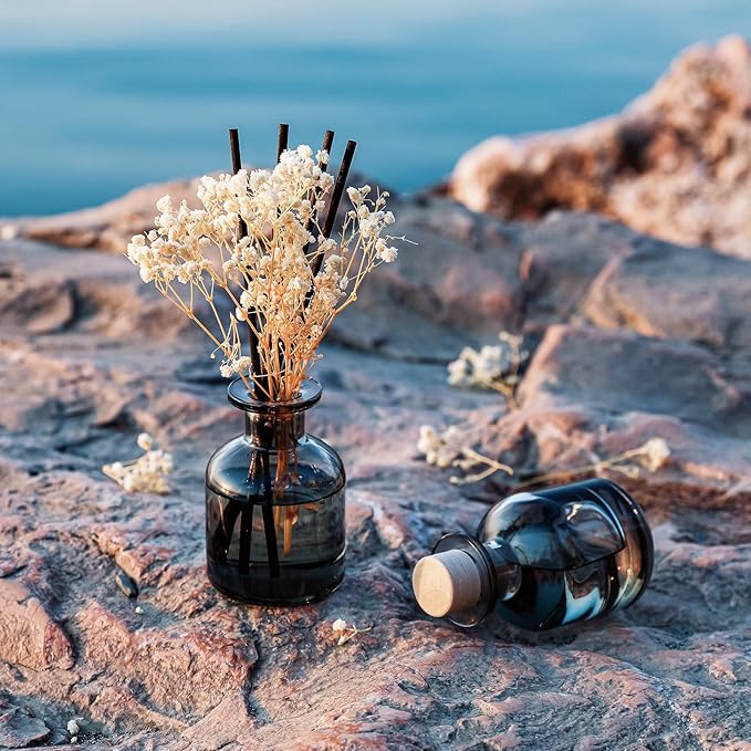 Brakula 2 Pack Reed Diffuser, Oil Diffuser Sticks, Lavender Eucalyptus + Lavender Vanilla(3.38 fl oz Each Pack), Home Fragrance with 12 Sticks, Shelf Decor, Reed diffusers for Home