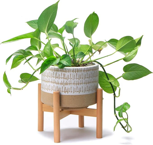 Kurrajong Farmhouse 7.25in Ceramic Planter with Bamboo Stand, Indoor Use, Caramel and White