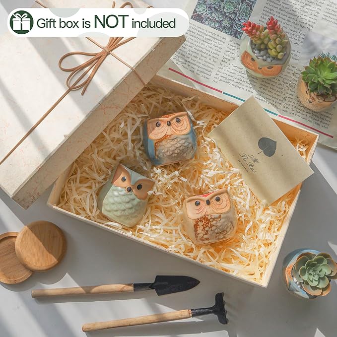 T4U 2.5 Inch Owl Ceramic Succulent Planter Pots with Drainage Hole Set of 6, Mini Cute Flower Pots Tiny Plant Holder Container Best for Home Office Garden Decoration Owl Gift Ideas