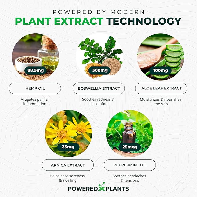 Hemp Oil Roll On - Menthol Rub with Boswellia & Arnica - 12,000mg Extra Strength Oil for Muscle Discomfort by Powered X Plants - Pack of 2, 3 fl.oz.