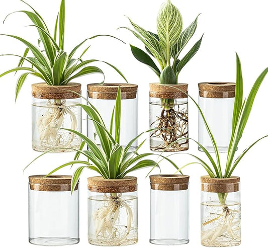 Glass Propagation Stations for Plants -Desktop Flower Vases,Propagation Flower Vases Set – 2 Sizes Planter Propagated Jars ,for Plant Cuttings,for Living Room, Bedroom Decoration,Home,Office Decor(8)
