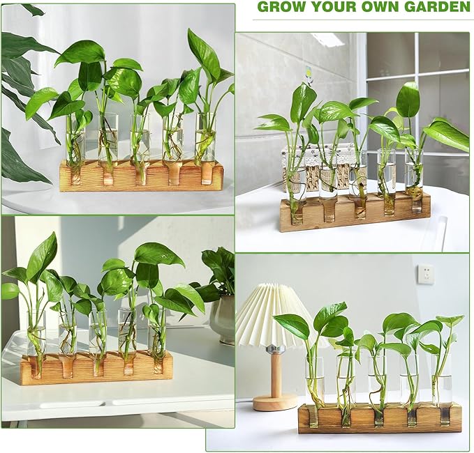 Plant Propagation Station, Plant Terrarium with Wooden Stand, Plant Pots for Hydroponics, Small Birthday Gardening Gifts for Women Mom Plant Lovers Unique - 5 Glass Test Tubes Vases