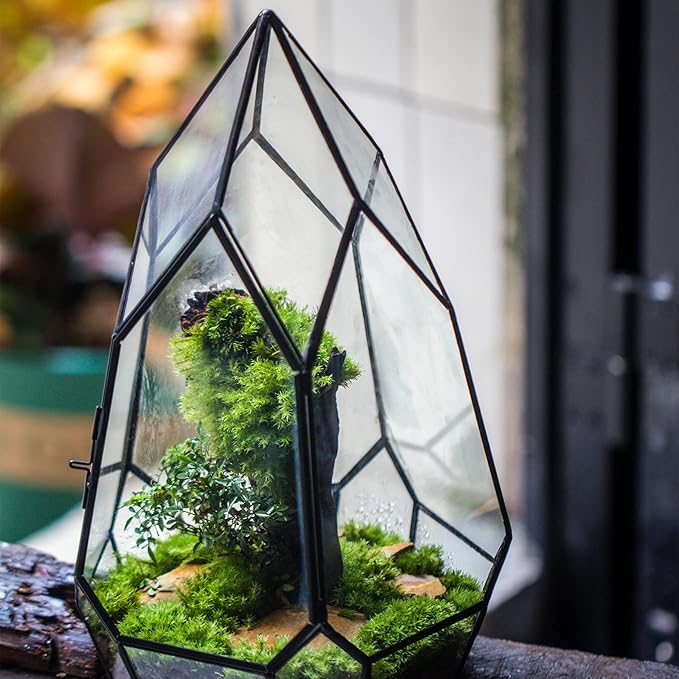 NCYP Modern Black Glass Geometric Terrarium Container with Door - Balcony Planter DIY Display Flower Pot for Succulent Fern - Tabletop Miniature Botanical Fairy Garden (No Plants)