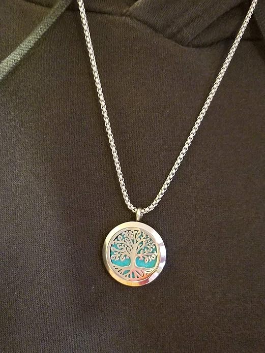 Aromatherapy Essential Oil Diffuser Necklace 316L Stainless Steel Locket Pendant with 24 Inch Chain