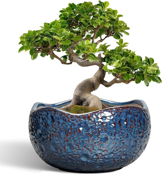 Bonsai Pots - 13 Inch Large Ceramic Planter for Indoor Outdoor, Round Decorative Plant Pots with Drainage Hole, Modern Unique Flower Pots, Patio Decor, Housewarming Gifts, Retro Blue