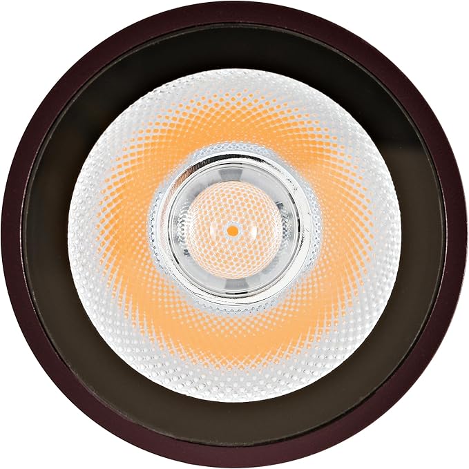 Dusk to Dawn Outdoor Lighting Sensor Wall Lights 2Pack, 12W 2700K Integrated LED Cylinder Up Down Lights Outdoor, IP65 Waterproof Aluminum Exterior Wall Sconce for Porch Patio. Brown