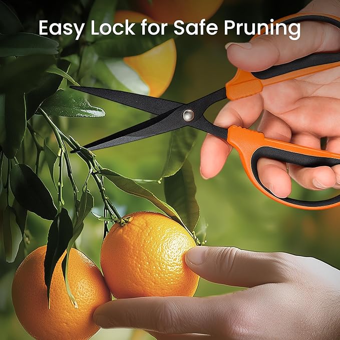 GROWNEER 6 Packs Trimming Scissors Teflon Coated Non Stick Blades Pruning Shears Gardening Hand Pruning Snips with Straight Stainless Steel Precision Blade