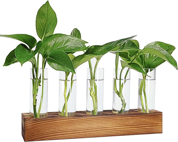 Plant Propagation Station, Plant Terrarium with Wooden Stand, Plant Pots for Hydroponics, Small Birthday Gardening Gifts for Women Mom Plant Lovers Unique - 5 Glass Test Tubes Vases