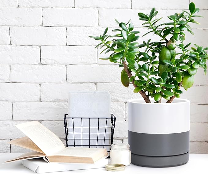 D'vine Dev 4.7 Inch & 6.5 Inch Ceramic Planter Pots for Plants with Drainage Hole and Saucer, Small Plant Pots Set, White/Speckled Grey, 94-G-S-6