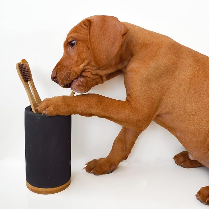 Matani Bamboo Toothbrush Holder Diatomite Tooth Brush Organizer - Storage Stand for Small Bathroom & Counter - Removable Base & Drain Holes, Water-Absorbent & Quick-Drying (Grey)