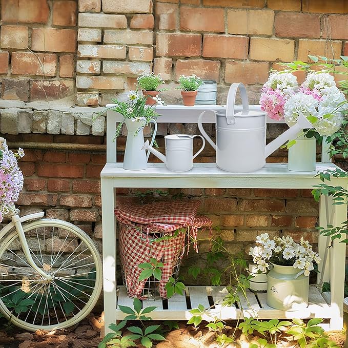 Small Metal Watering Can Set, Pink, 1.2L and 0.23L Garden Cans with Long Spout, Indoor Outdoor Plant Care (White)