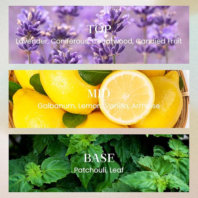 M&SENSE 10.14 oz Large Reed Diffuser Set | Magical Oriental Scent Oil Diffuser with Sticks |Hotel Collection Non-Toxic Essential Oil |for Bedroom Bathroom Living Room