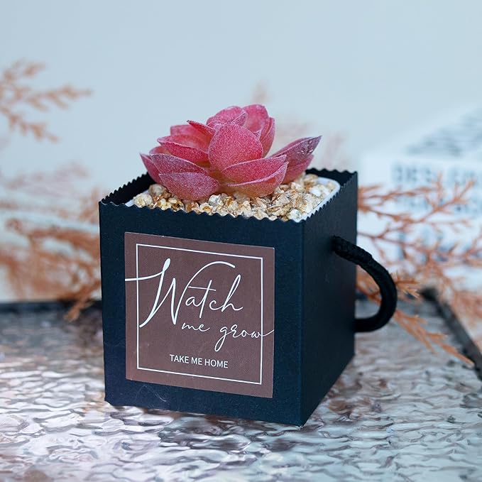 Temlum 2.5 Inch Succulent Wrap Bags (Fits 2.5″ Pots) with Thank You & Watch Me Grow Stickers, Small Succulent Gift Box for Wedding, Baby Shower, Succulent Party Favors for Guests (Black 40pcs)