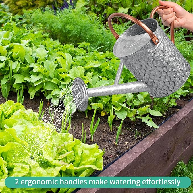 1 Gallon Metal Watering Can for Outdoor Indoor Plants, Galvanized Watering Can with Removable Spray Spout, Ideal for Garden Watering