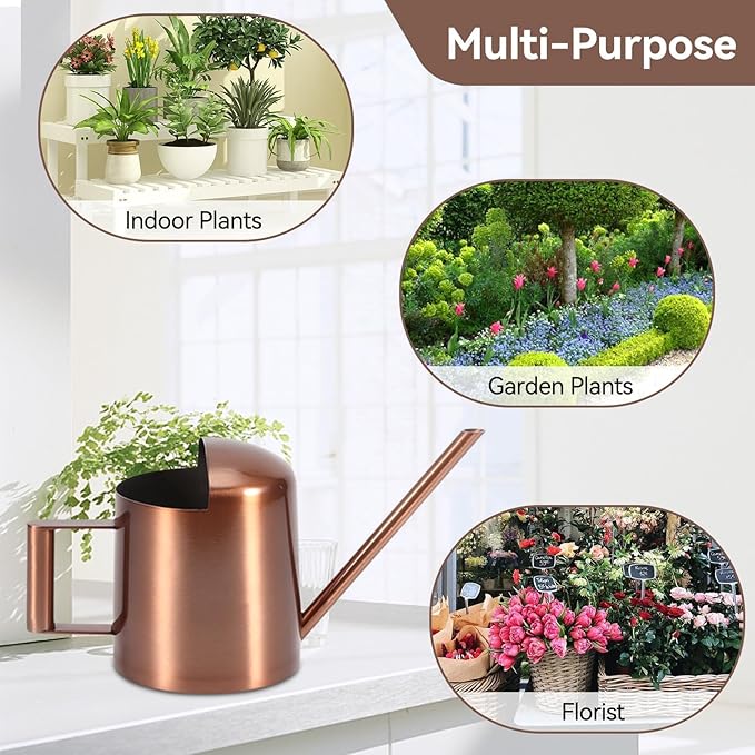 Small Watering Can, 10oz/300ml Stainless Steel Water Can for Indoor Plants Small Long Spout Watering Pot for House Plants, Succulents and Bonsai