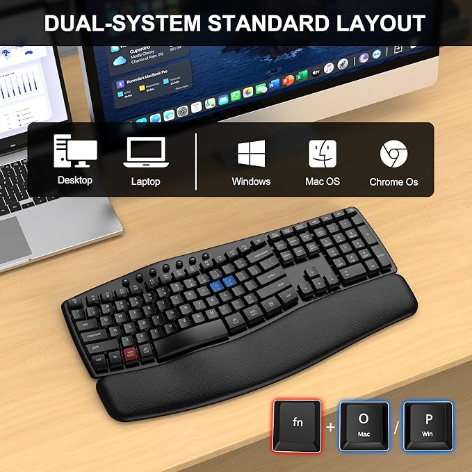 EDJO Wireless Keyboard,2.4G USB/Bluetooth Dual-Channel Connection, Full Size Wave Keys Ergonomic Keyboard with Soft Wrist Rest for Windows, Mac OS Desktop/Laptop/PC(Black)
