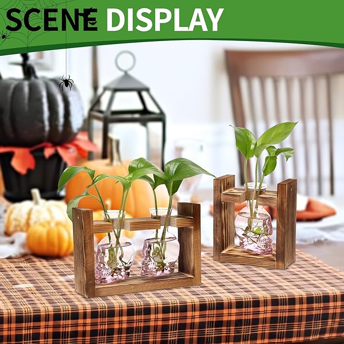 2+1 Plant Terrarium Plant Propagation Station Gifts for Father Halloween Skull Home Office Decor with Wooden Stand