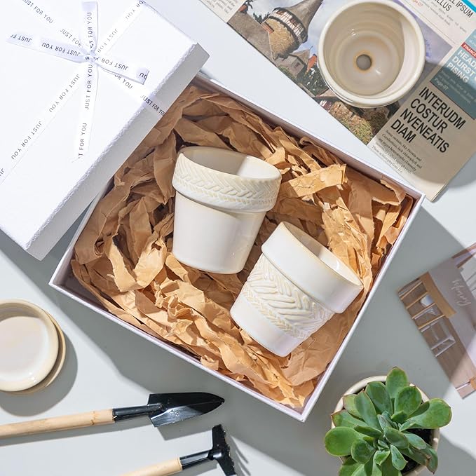 Succulent pots,Indoor Small Succulent Bonsai,3 Inch Mini Ceramic Succulent Pots with Saucer and Drainage Hole, Decorative Planter for Succulent, Cactus, Set of 4.