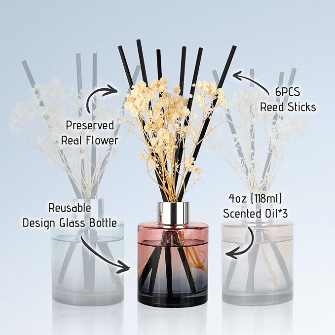 Brakula 3 Pack Reed Diffuser, Oil Diffuser Sticks, White Jasmine, Eucalyptus&Wild Mint, Lavender Vanilla, (4 fl oz Each Pack), Home Fragrance with 18 Stick, Shelf Decor, Reed diffusers for Home