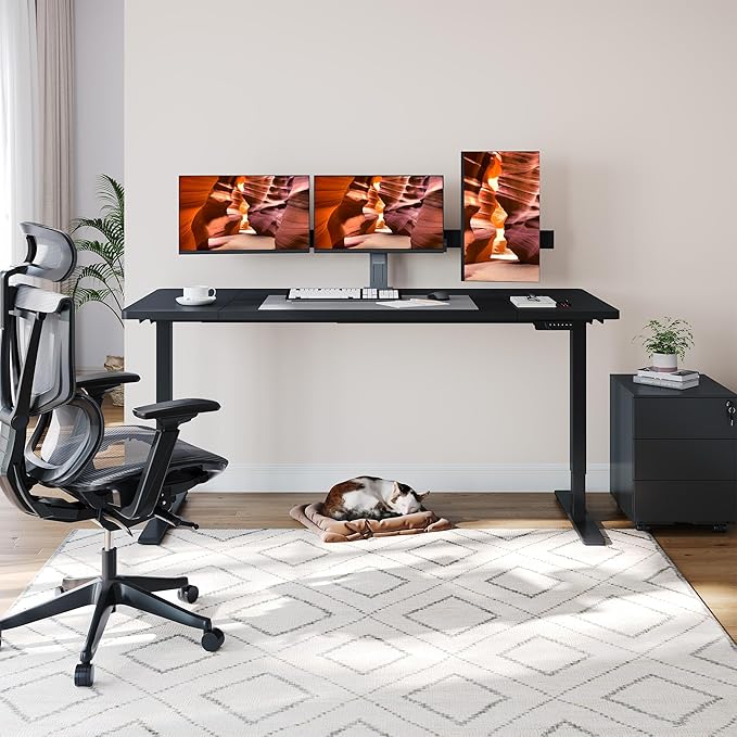 Dual Motor Standing Desk, Large Stand Up Desk, 63x28 Inches Electric Sit Stand Desks, 4 Memory Preset Adjustable Height Desks Home Office Desks(Black)
