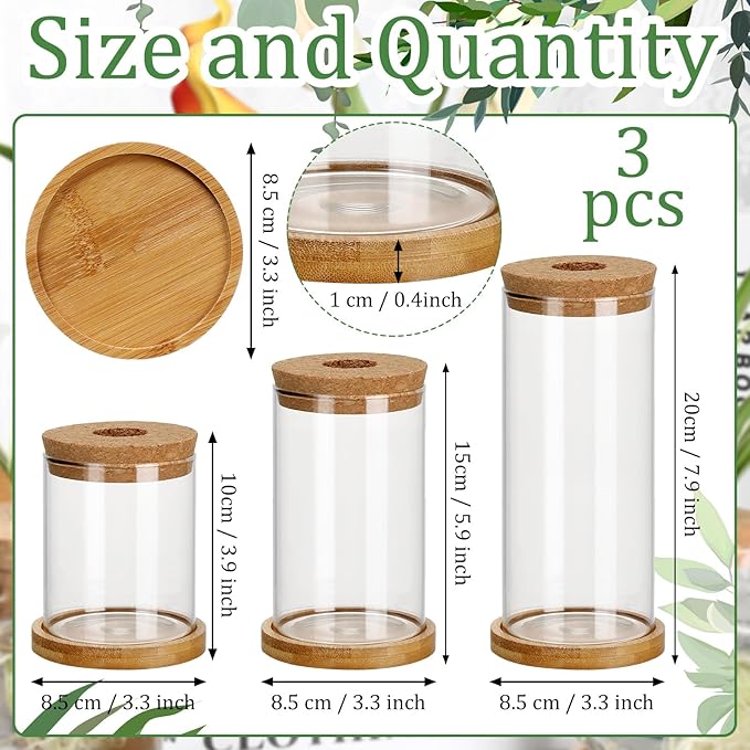 Maxcheck 3 Pcs 3 Sizes Plant Propagation Station Separated Glass Plant Terrarium Water Hydroponic Planter Holder with Lid and Wooden Stand Propagation Vase Pot for Home Indoor Office(Various Sizes)