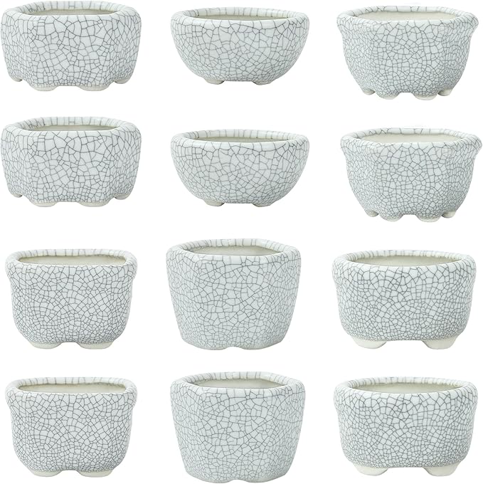 Bonsai Planter 1.8 inch (4.5cm) Mini Succulent Glazed Pots Set of 12 Gray White
