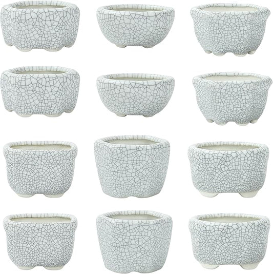 Bonsai Planter 1.8 inch (4.5cm) Mini Succulent Glazed Pots Set of 12 Gray White