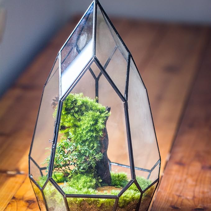 NCYP Modern Black Glass Geometric Terrarium Container with Door - Balcony Planter DIY Display Flower Pot for Succulent Fern - Tabletop Miniature Botanical Fairy Garden (No Plants)