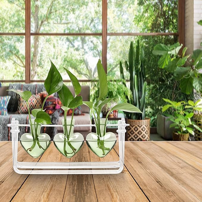 Clear Plant Terrarium Propagation Stations with Acrylic Stand Birthday Gifts for Women Office Home Decor