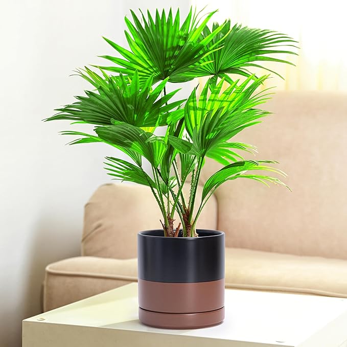 D'vine Dev 4.7 Inch & 6.5 Inch Ceramic Planter Pots for Plants with Drainage Hole and Saucer, Small Plant Pots Set, Black/Speckled Tan, 94-G-S-7