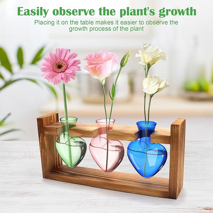Plant Propagation Station, Propagation Vases for Plants with Wood Stand Heart Shape Glass Planters for Indoor Plants Gifts for Women Plant Lover with a Lanyard